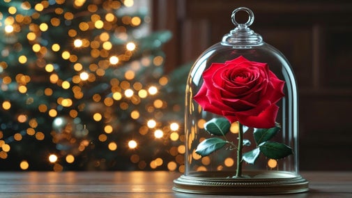 A rose sits inside a bell jar in front of twinkly lights